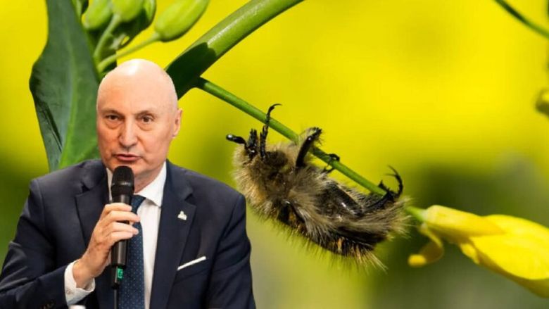 VIDEO | Vasile Iosif (AIPROM): România devine un paradis pentru insecte pe care nu le aveam înainte / Eliminarea unor produse de protecție a plantelor din UE este, de multe ori, o decizie politică, nu una bazată pe știință, ceea ce nu este corect