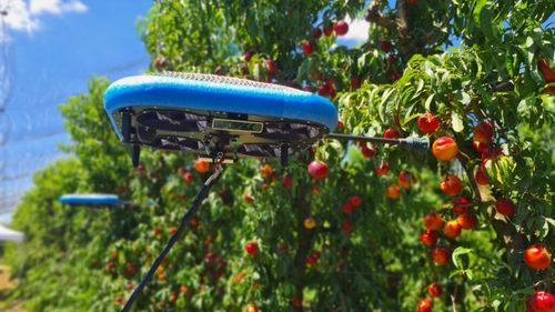 Un startup produce drone capabile să culeagă fructe / Firma i-a atras atenția lui Bill Gates