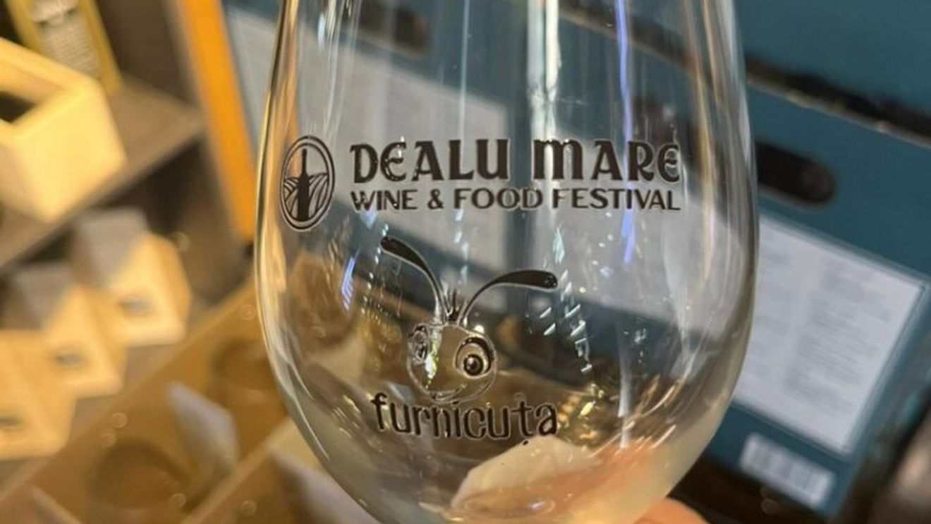 Douăsprezece crame prezente la Buzău la Festivalul de vinuri/ Preţul vinului, în creştere pe fondul suprataxării şi condiţiilor meteo/ Nu lipsesc nici cârnații de Pleșcoi