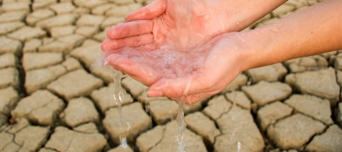 Căldura extremă lovește agricultura, la nivel global / 526 de milioane de tone de alimente se strică din lipsa sistemelor de refrigerare/ Ce  măsuri sunt recomandate fermierilor