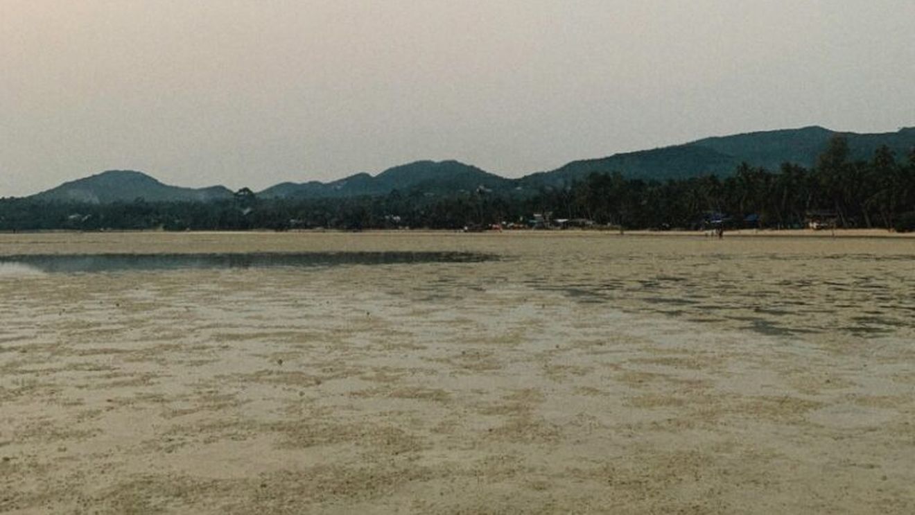 ”Există riscul pierderii resurselor de apă în sudul României”, declară ministrul mediului Mircea Fechet la Digi24