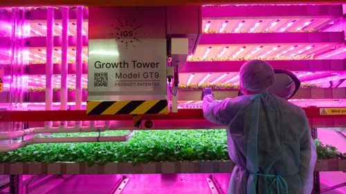 Ferma din deșert care ar putea produce 3 milioane de kilograme de hrană pe an / GigaFarm este capabilă să recicleze anual 50.000 de tone de resturi alimentare