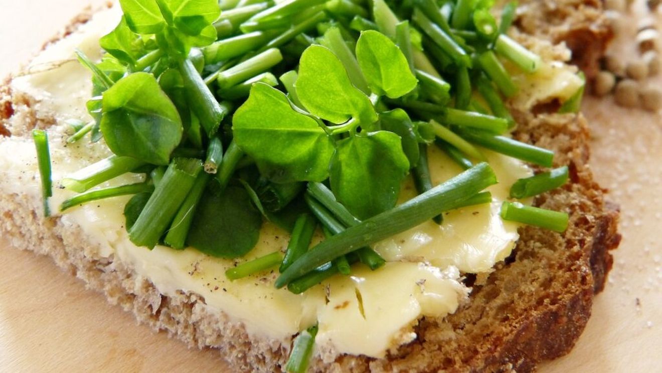 Aceasta este cea mai sănătoasă plantă din lume/ O poți cultiva singur, fără să ai grădină