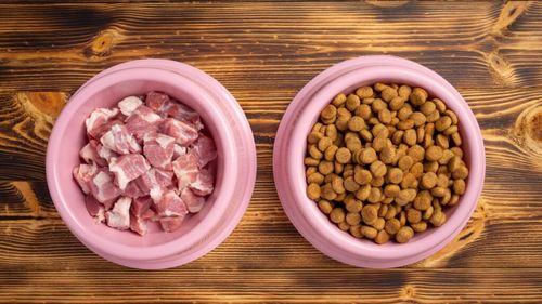 Hrana pentru câini generează 1% din emisiile Marii Britanii, impactul climatic ajungând la nivelul aviației comerciale / Produsele umede și bogate în carne poluează cel mai mult