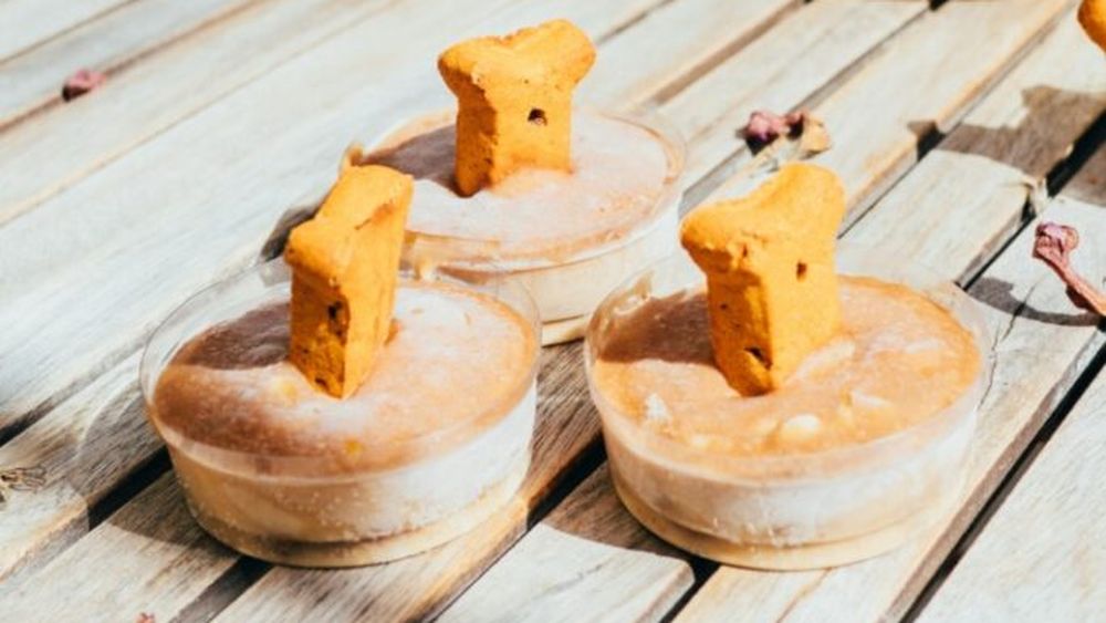 Degustător de mâncare de câini. În ce constă și cum poți practica această meserie un pic ciudată