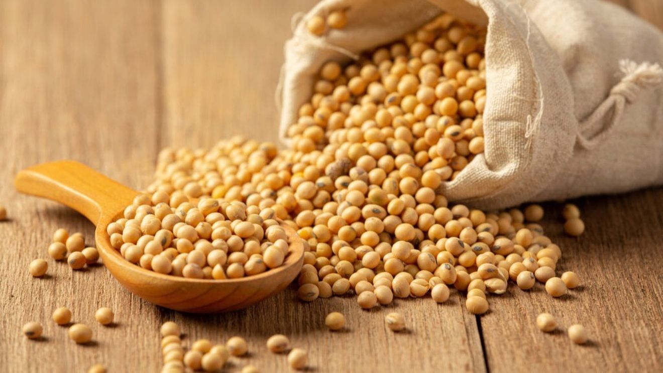 China revine pe piața achizițiilor de soia americană. Achizițiile masive ridică prețurile și declanșează vânzări în rândul fermierilor / Importurile Chinei dau tonul în piață