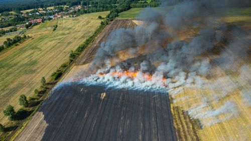 Incendiu de vegetaţie şi culturi agricole în comuna Colceag din județul Prahova / Traficul feroviar a fost oprit