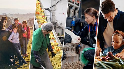 Comisia Europeană înființează Consiliul European pentru Agricultură și Alimentație / Prima reuniune va avea loc pe 4 februarie