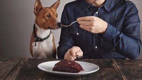 Riscurile dietei cu carne crudă la câini: Ce spun specialiștii