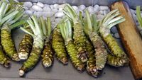 20 de alimente rare care refuză să crească în altă parte / De la wasabi la trufa albă, de ce contează locul de origine