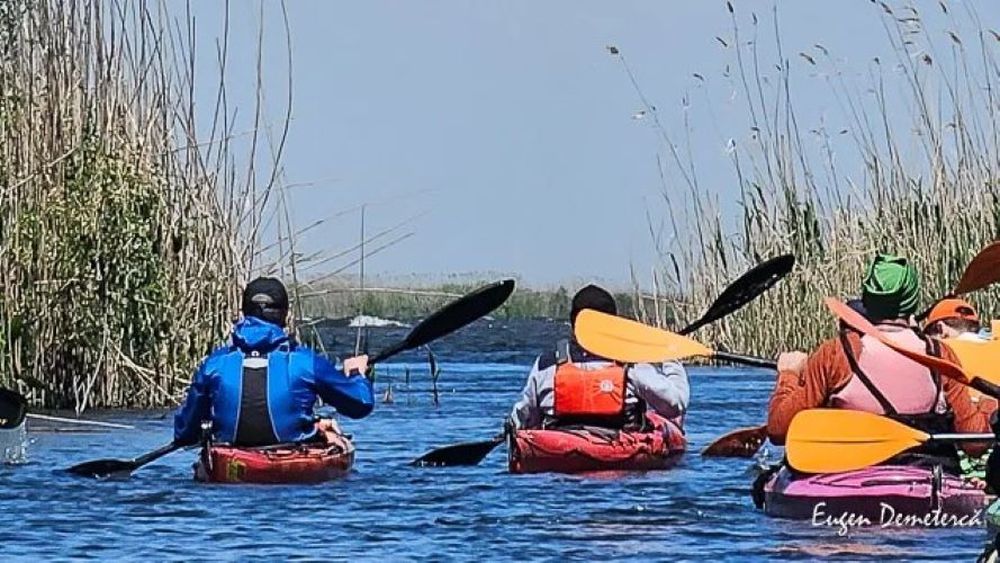 Participant la ture cu caiacul în Delta Dunării: ”Toată lumea presupune că mănânc pește dimineața, la prânz și seara, dar felurile principale într-o asemenea tură sunt… conservele!” - Eugen Demetercă, blogger