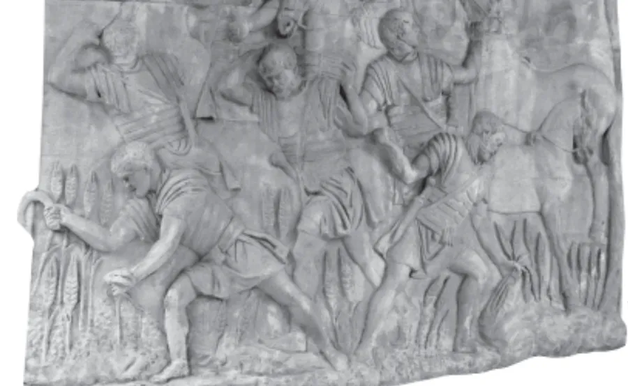  Culesul grâului / Sursa foto: G4Food