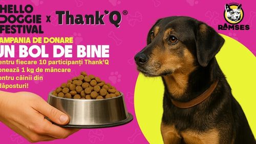 Cum poți dona mâncare pentru câinii din adăposturi la Hello Doggie Festival: Campania Un Bol de Bine