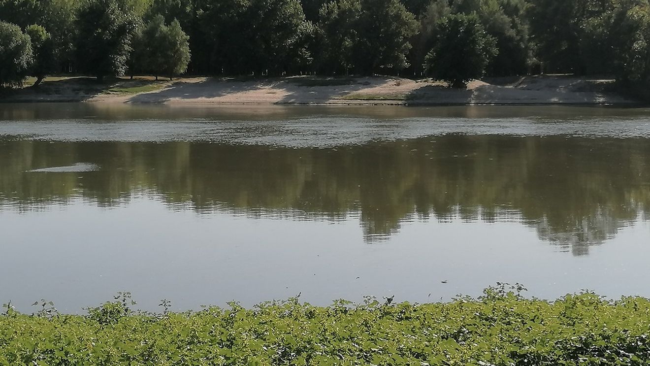 Alimentele viitorului: microalgele din izvoarele termale vulcanice, sursă promițătoare de proteine￼