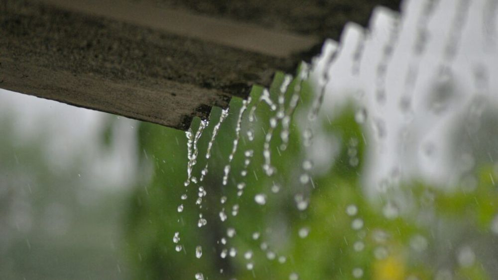 Cum să colectezi eficient apa de ploaie: ghidul complet pentru gospodării sustenabile