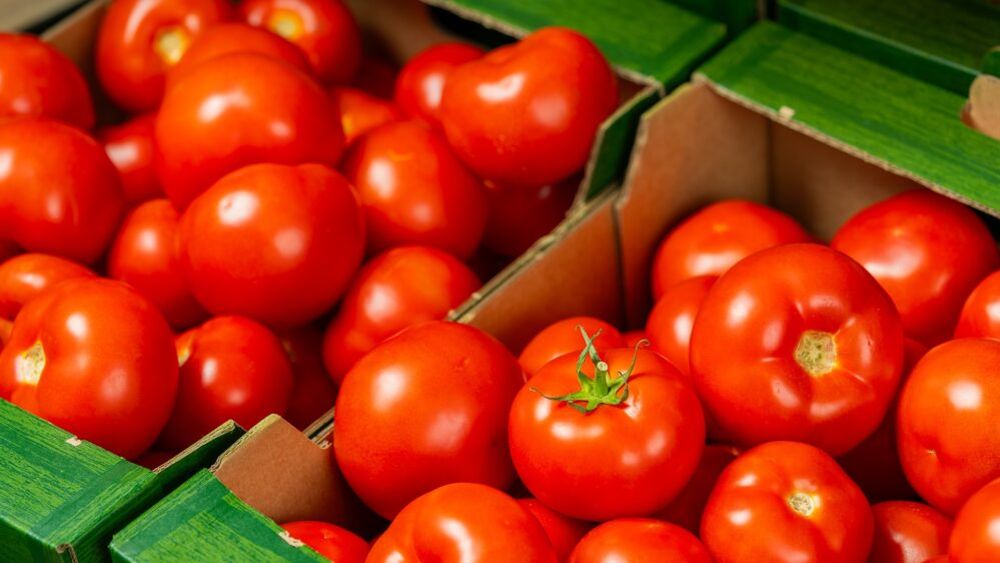 Cererea pentru roșiile românești, în creștere: Un mare retailer din România anunță că va avea la raft doar tomate de la producători locali