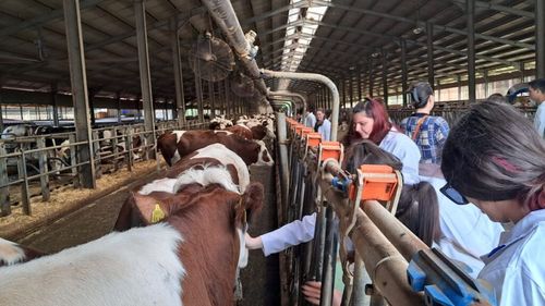 Trei sferturi dintre fermieri vor să primească elevi în practică, dar nu au timp şi personal, arată un nou studiu