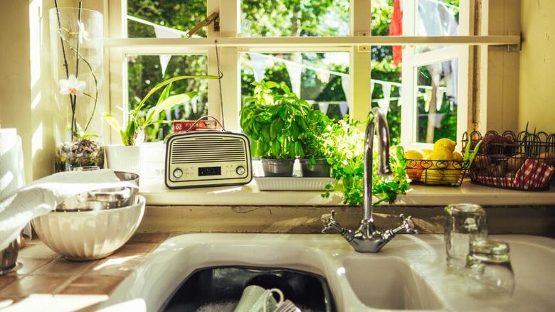 9 plante aromatice pe care le poți crește în casă tot anul. De la busuioc și mentă la salvie, ce ai nevoie pentru propria grădină de pe pervaz