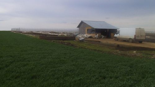 Cum va arăta anul 2020 pentru agricultura României?