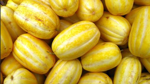 Pepene galben cu aromă de pară. Îl cultivă în premieră în România un tânăr care a dat munca în construcții în Germania pe agricultura din satul natal, din județul Arad