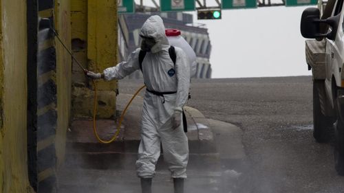 Apicultorii din zona Caransebeș, informați de primăria municipiului că va începe dezinsecția pe 28 mai / Lipsa acestor informări, o mare problemă pentru producătorii de miere