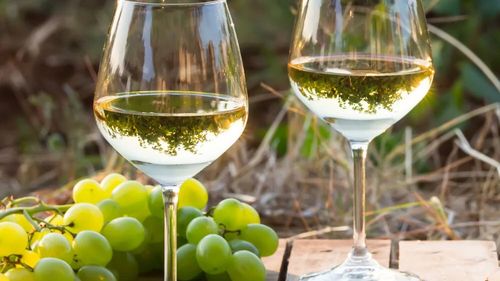 Germania: Exporturile de vinuri albe au crescut, dar taxele vamale ar putea afecta viitoarele vânzări/ Vinurile albe Riesling sunt solicitate în mod special pentru prospețimea și conținutul lor redus de alcool