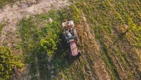 Fermierii cer clarificări privind schema pentru îngrășăminte / România are la dispoziție aproape 30 de milioane de euro