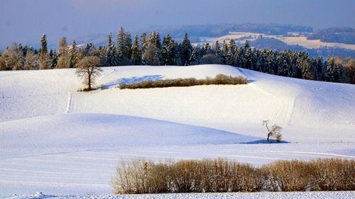 Fermierii sunt mai optimiști după ninsorile abundente și anticipează o recoltă mai bună în acest an