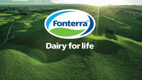 Vânzarea gigantului din lactate Fonterra ia amploare/ Alianță strategică între Bega și FrieslandCampina, pentru o afacere de 4 miliarde $ / Următoarele săptămâni, decisive pentru industrie