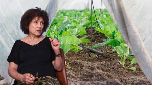 Inovații în agricultură: Tehnologii noi pentru protecția plantelor, irigații și soluri sustenabile. Carmen Botez (AIPROM): „Pentru a reuși, avem nevoie de un sistem de reglementare care să țină pasul cu inovația”