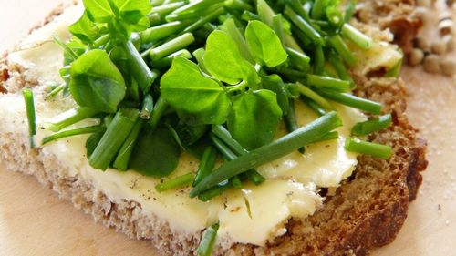 Aceasta este cea mai sănătoasă plantă din lume/ O poți cultiva singur, fără să ai grădină