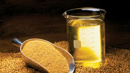 China schimbă regulile jocului: din cel mai mare importator de soia devine un nou jucător pe piața exportului de ulei