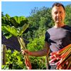 FOTO | Cum a ajuns un sociolog să cultive rubarbă într-un sat din Transilvania / Mircea Muntean: „Nu recomand nimănui să înceapă doar pentru bani”. „Am făcut și vin, și bere, și chipsuri din rubarbă” / De ce nu poate fi cultivată oriunde
