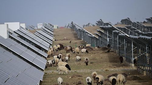 China construiește cea mai mare fermă solară din lume/ Proiectul se intinde pe 610 km patrati, pe platoul tibetan/ Sute de mii de ”oi fotovoltaice” pasc pe sub panourile solare/ Ferma va reduce emisiile de carbon și va genera energie pentru 5 milioane de gospodării
