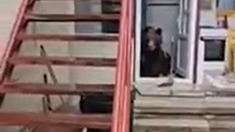 O ursoaică cu trei pui a intrat de două ori într-o casă din Bușteni / Animalele au mers direct la frigider în căutare de hrană