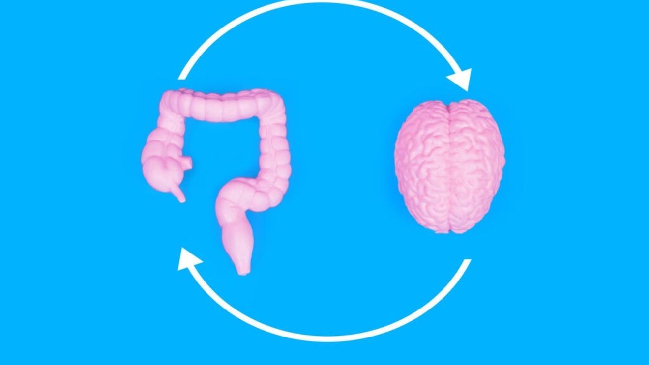 Un beneficiu mai puțin cunoscut al usturoiului, demonstrat deocamdată doar pe cobai
