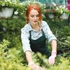 Cum să-ți pregătești grădina înainte de venirea toamnei / Opt lucrări de făcut până la sfârșitul lui august