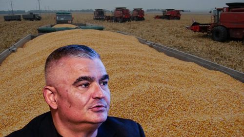 Mai multe nave încărcate cu porumb, care au plecat din Portul Constanța, au fost refuzate în țările de destinație. Motivul? Contaminarea cu aflatoxină / Cezar Gheorghe, expert în agribusiness: „Prețul porumbului a început să scadă și nu mai are nicio susținere”