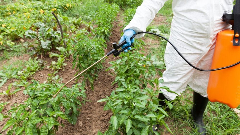Cel puțin 14% din pesticidele utilizate azi pe terenurile agricole din Uniunea Europeană sunt ilegale/ Comerțul cu aceste substanțe a explodat în Europa, fermierii încearcă astfel să își reducă din cheltuieli