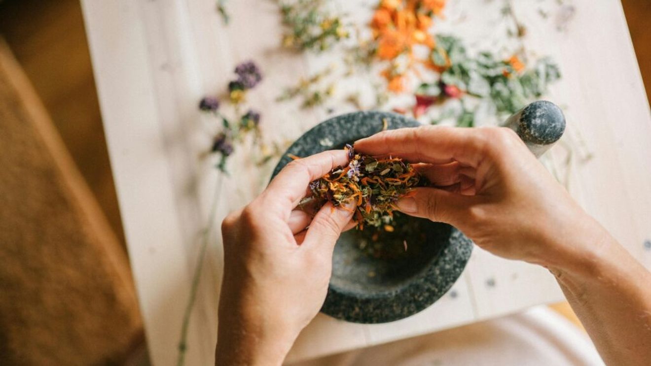 Cea mai bună plantă care ajută la reducerea stresului/ Nutriționiștii spun că ashwagandha este planta care poate reduce cortisolul - hormonul stresului – și poate îmbunătăți somnul