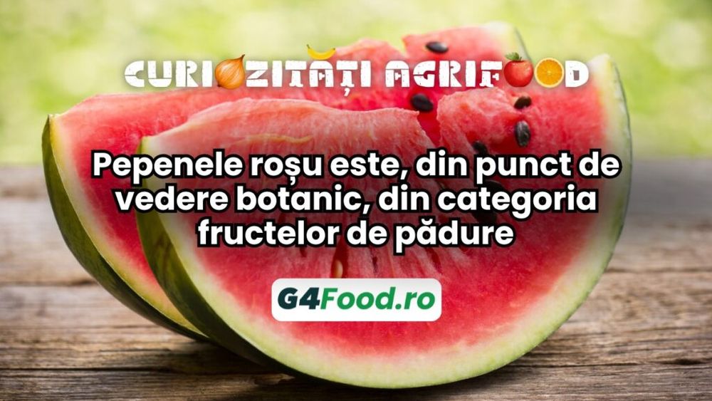 Pepenele roșu este, din punct de vedere botanic, din categoria fructelor de pădure