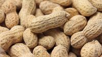 Alergia la arahide ar putea fi tratată cu ajutorul bacteriilor „bune” din intestin. Un studiu deschide o nouă direcție de cercetare