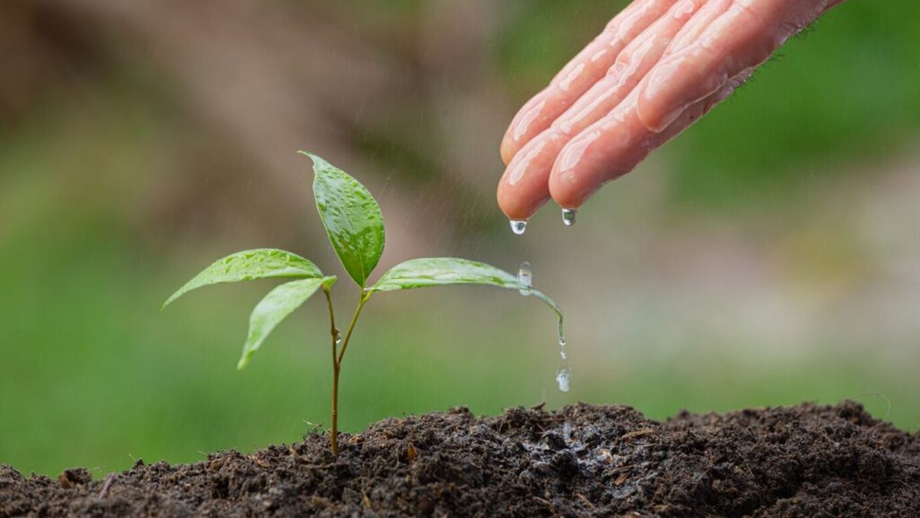 Principalele sisteme de irigații actuale și aplicarea lor în funcție de tipul de cultură și de teren