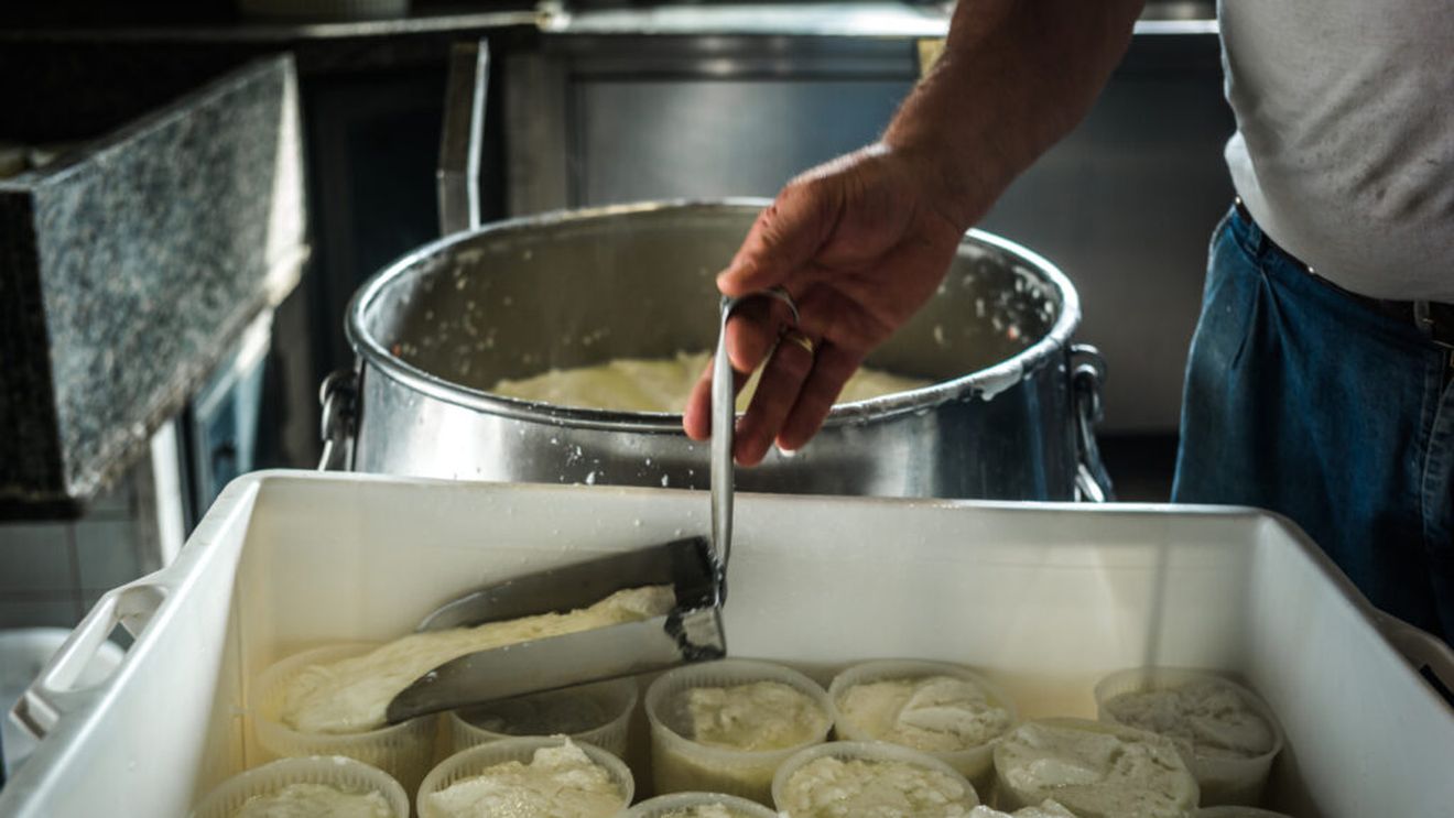 Ricotta sau brânza de vaci / Când trebuie folosită fiecare dintre ele și cum să le alegi pe cele mai bune / Ricotta poate fi preparată acasă