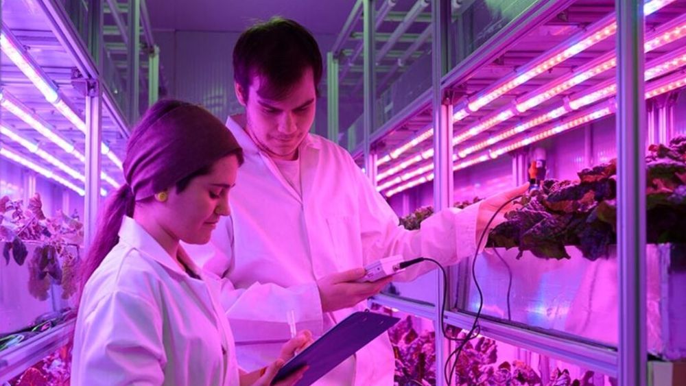 Masterat dedicat agriculturii inteligente, lansat de o universitate britanică / S-au înscris studenți din toată lumea