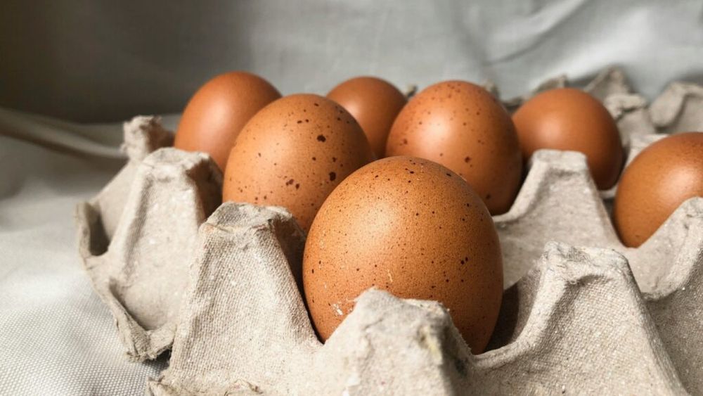 Agroland Business System de la Caransebeș are în plan să devină cea mai mare fabrică de furaje organice din România