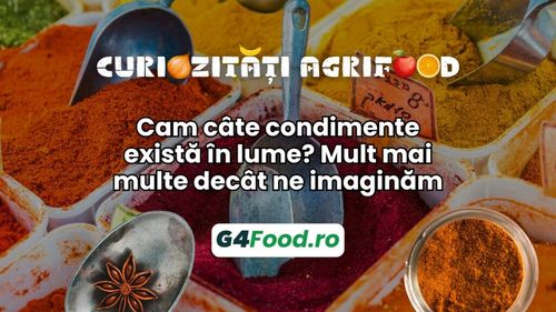 Curiozități agrifood – 23 august: Cam câte condimente există în lume? Mult mai multe decât ne imaginăm