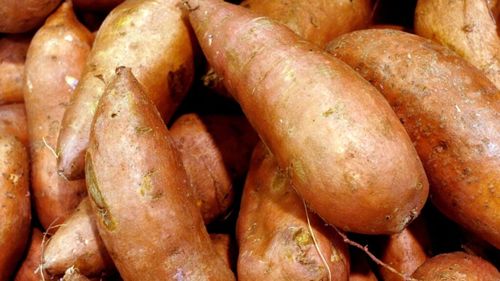 AFIR: 51 de proiecte de investiţii în sectorul legume şi/sau cartofi; fondurile pe intervenţia DR-16, epuizate înainte de termen