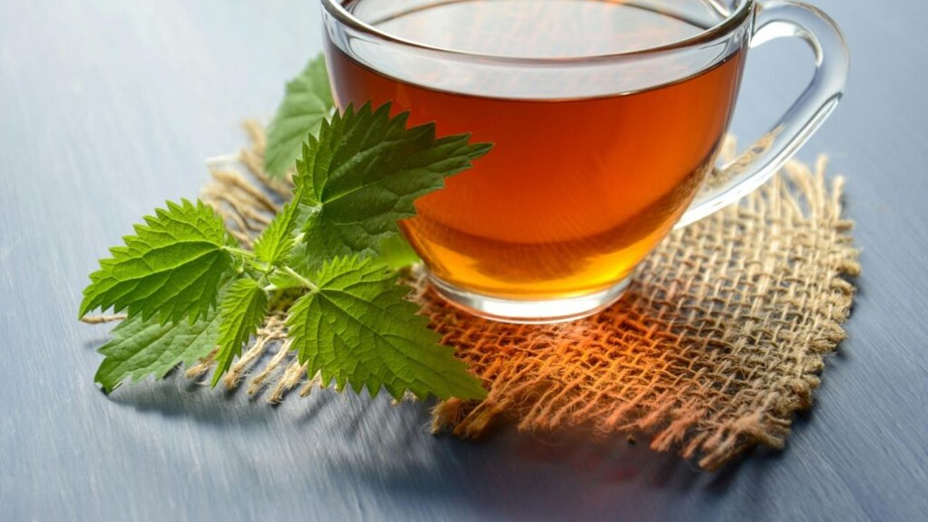 7 ceaiuri pentru a stimula sănătatea plămânilor și a combate efectele poluării aerului / Ceaiul negru, verde, de ghimbir sau de mentă te ajută să-ți susții sănătatea respiratorie