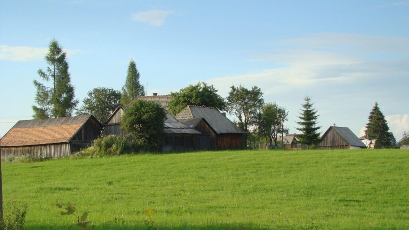 Fântâna Brazilor, satul care se gospodărește singur / Un model de economie integrată și în armonie cu natura / Supa de merișoare cu slănină afumată de la Valea Brazilor, ambasadoarea zonei